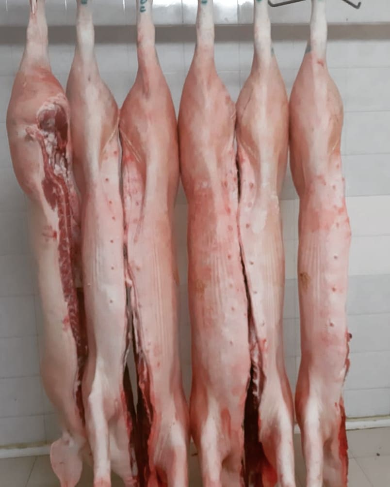 Banco carni fresche macelleria Narni